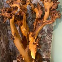 scultura in legno 
