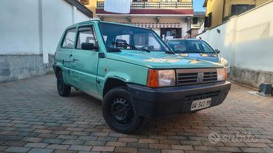 Panda 900 ie cat young 