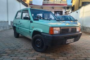 Panda 900 ie cat young 