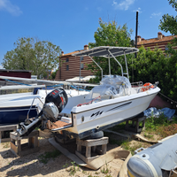 Barca euromarine 550