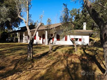 Splendida villa immersa nel verde