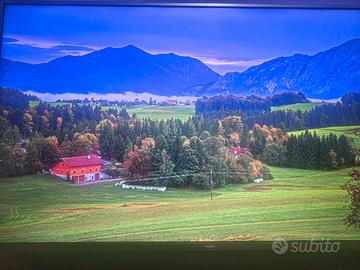 TV PHILIPS 4K AMBILIGHT 43 pollicI HDR 
