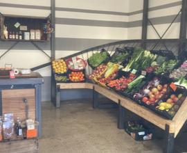 Attività di frutta e verdura