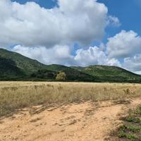 Terreno agricolo in località Tuerra I