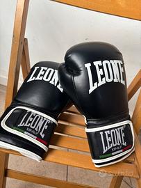 Guantoni leone come nuovi per via del poco uso