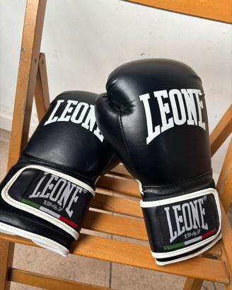 Guantoni leone come nuovi per via del poco uso