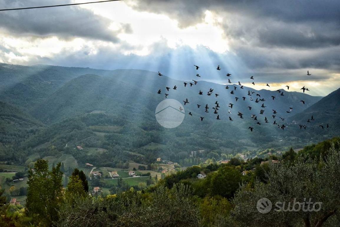 TER. AGRICOLO A TERNI - Vista 2