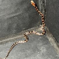 Serpente del Grano