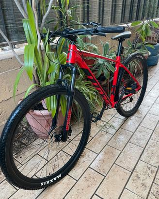 Mountain bike Scott