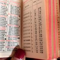 piccola agenda del 1946