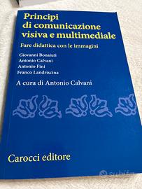 Principi di comunicazione visiva e multo