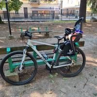 bici cube nature pro grey 54