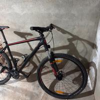Bici Scott