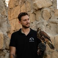 Allontanamento volatili con rapaci