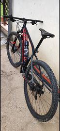 Mountain bike specialized taglia L 29