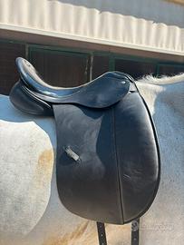 Sella da dressage pariani