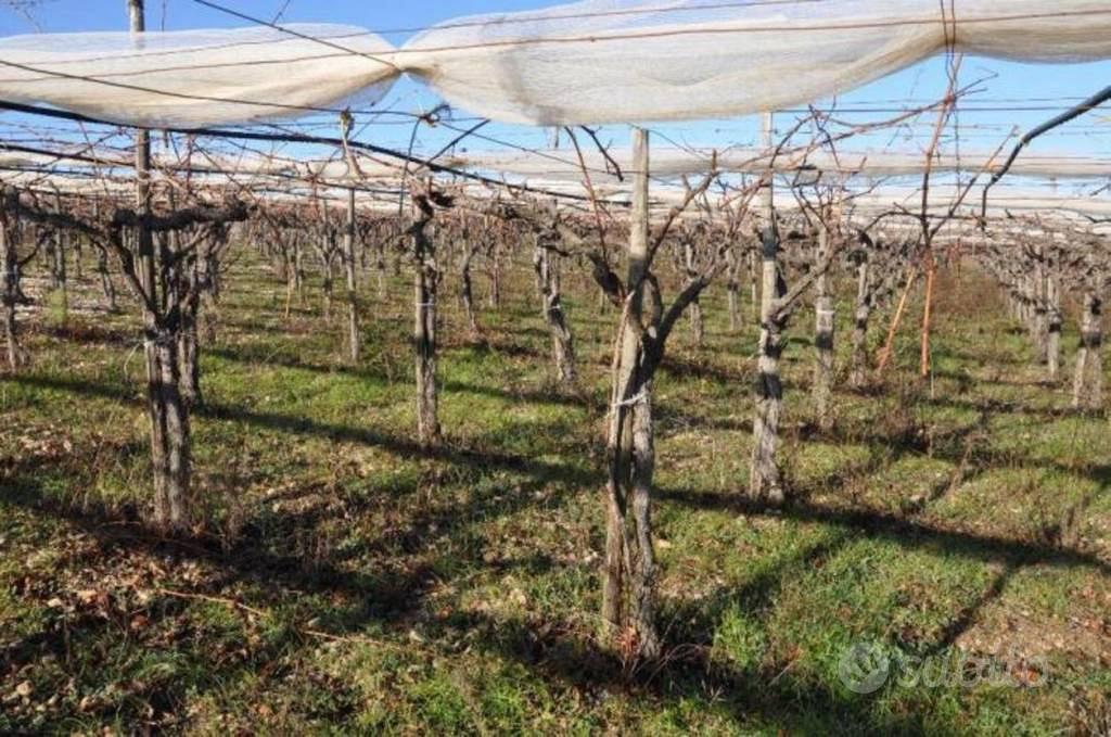 Immobile in asta di 36626 m² a Acquaviva delle Fon - Vista 3