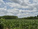 ter-agricolo-a-spinea