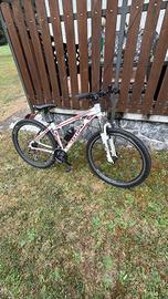 MOUNTAIN BIKE 