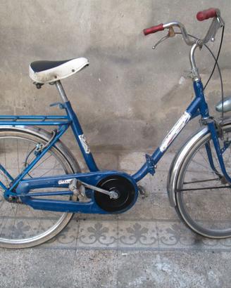bicicletta pieghevole stella ruote del 24