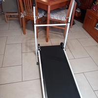 Tapirulan magnetico