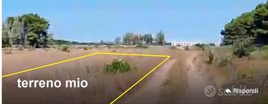 TERRENO NON EDIFICABILE mt.800 T.LAPILLO 3800,00