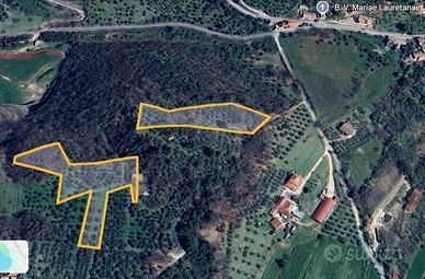 Uliveti, terreno agricolo, rimessa rurale