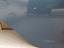Immagine 19