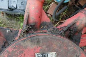 raccoglitore per fieno 