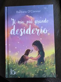 Il mio più grande desiderio
