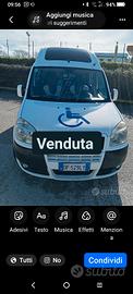 fiat doblo tetto alto per trasporto disabile 