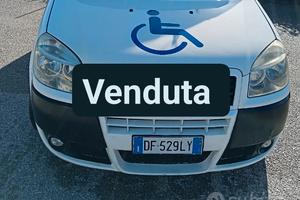 fiat doblo tetto alto per trasporto disabile 