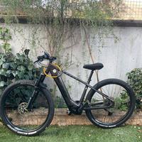 Ebike KTM
