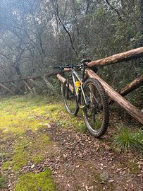 Mtb Merida Bignine carbon