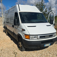 Iveco daily 35c13 trasporto animali vivi