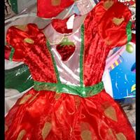Vestiti di carnevale