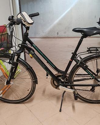 bicicletta bianchi spillo