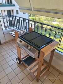 barbecue a gas sandrigas