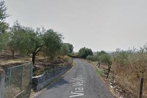 Terreno con 25 Ulivi. Guidonia