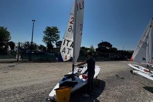 Ilca Laser 6 Radial - Element 6