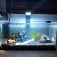 acquario già allestito 54l