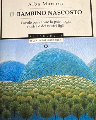 Il bambino nascosto