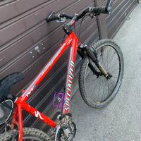 Bici specialized m2