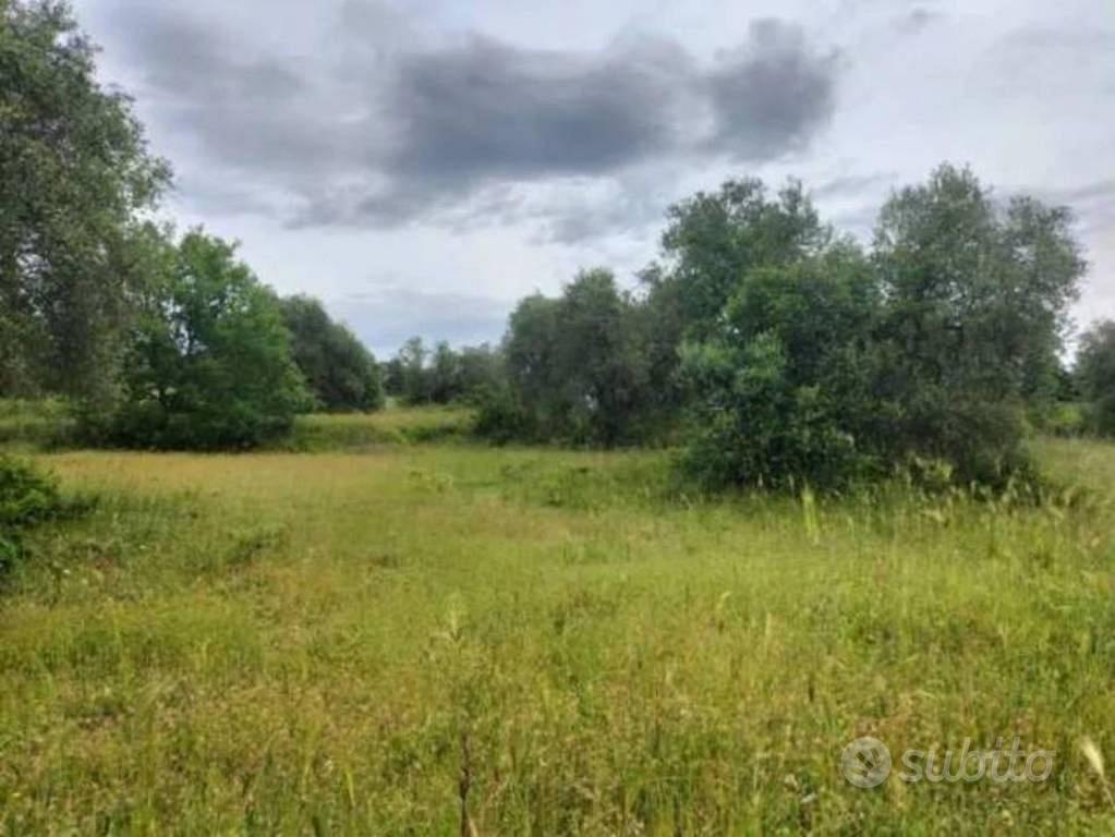 Immobile in asta di 23396 m² a Ficulle - Vista 2