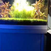 Acquario Led 45 litri