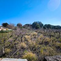 Terreno agricolo nicolosi 1000mq