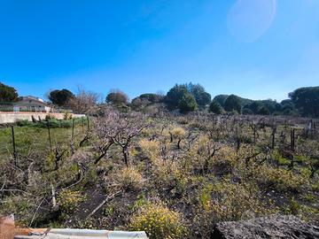 Terreno agricolo nicolosi 1000mq