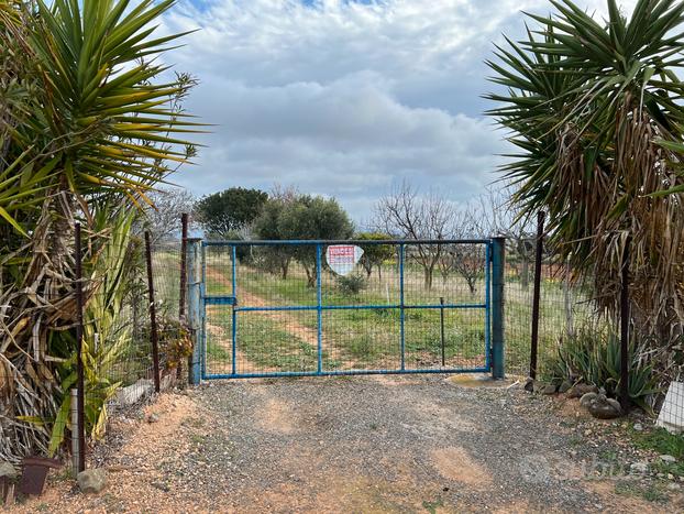 Terreno agricolo Sestu Strada provinciale Ussana