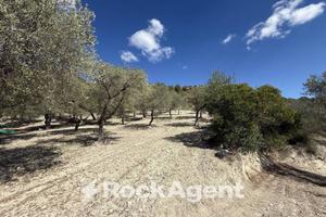 TERRENO AGRICOLO LOC. SANTA BARBARA,SORSO