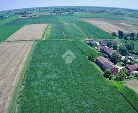 TER. AGRICOLO A BORGO VIRGILIO